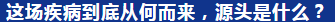 QQ图片20200203110740.png